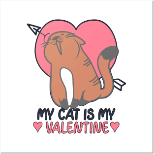 My Cat is my Valentine Posters and Art